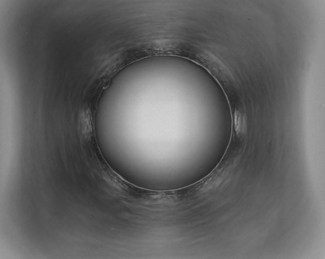X0000111241107200907021405