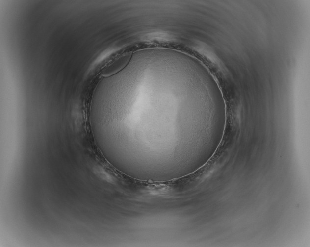 X0000111241112200907021405