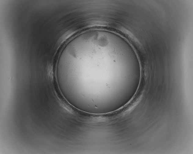 X0000111241113200907021405