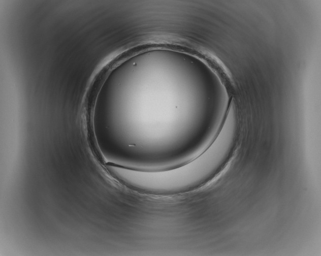 X0000111241114200907021405