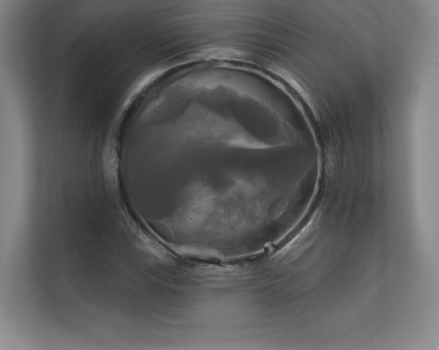 X0000111241115200907021405