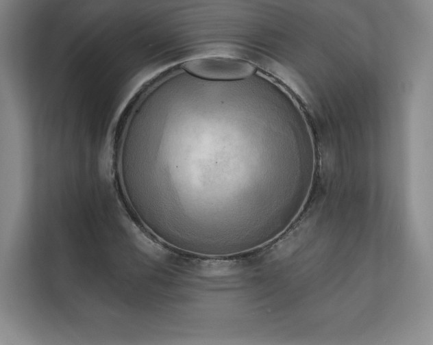 X0000111241116200907021405