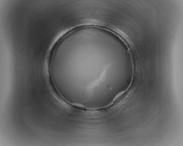 X0000111241120200907021405