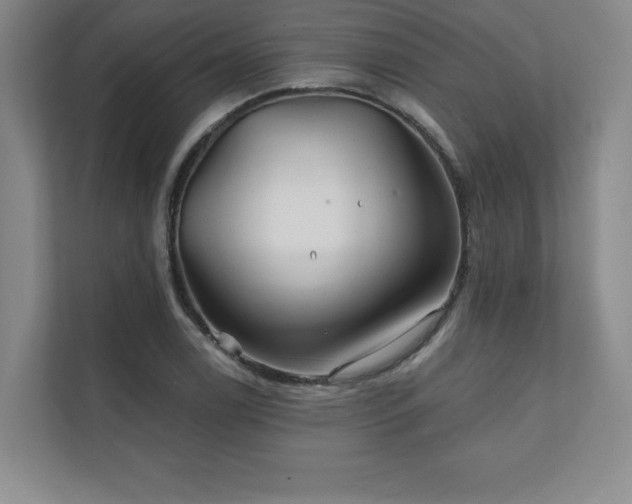 X0000111241122200907021406