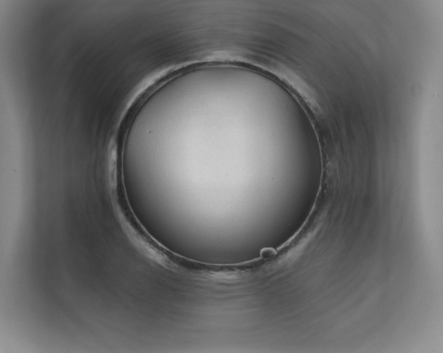 X0000111241126200907021406
