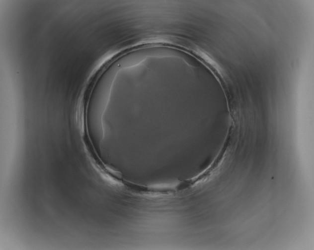 X0000111241127200907021406