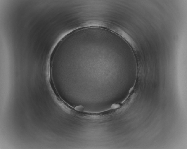 X0000111241132200907021406