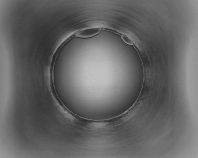 X0000111241134200907021406