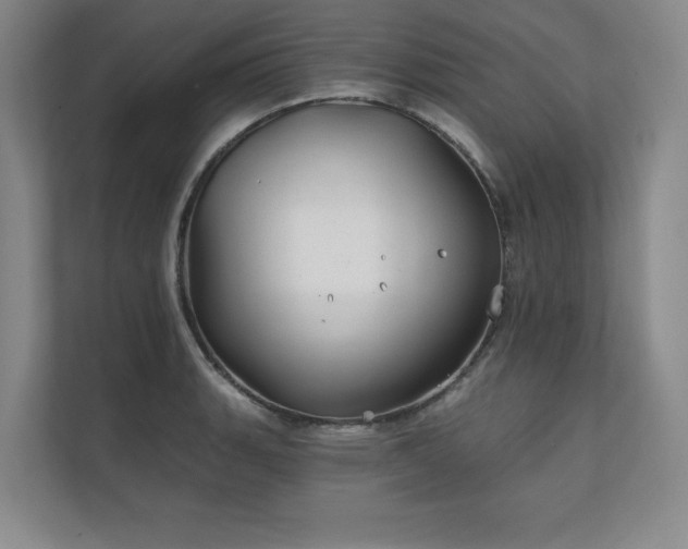 X0000111241135200907021406