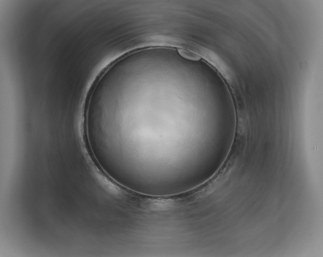 X0000111241136200907021406