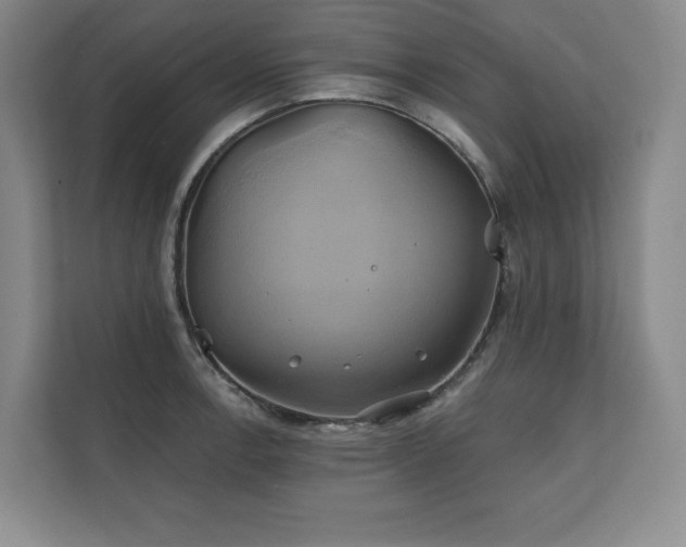 X0000111241138200907021406