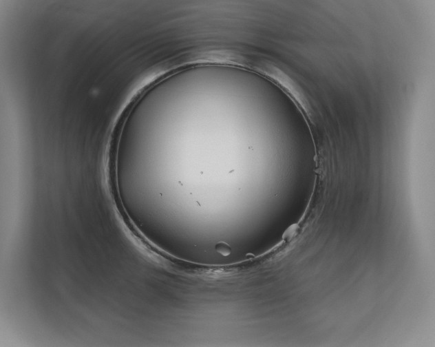 X0000111241139200907021406