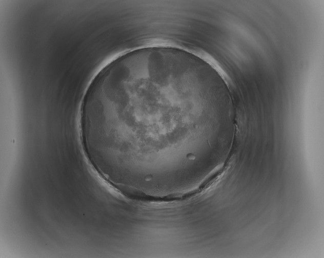 X0000111241142200907021406