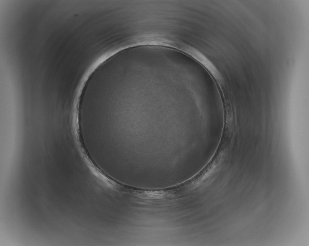 X0000111241144200907021406