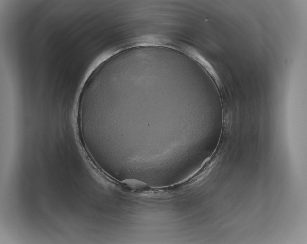 X0000111241146200907021406