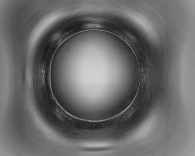 X0000111241151200907021406