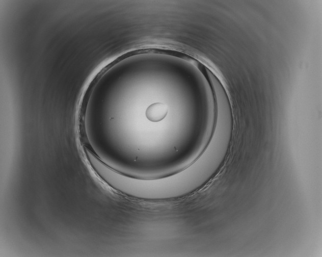 X0000111241152200907021406