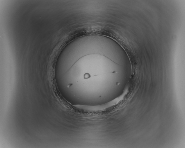 X0000111241153200907021405