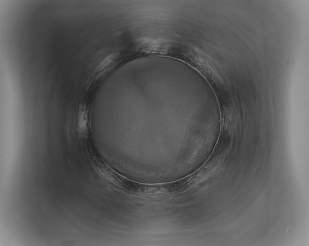 X0000111241154200907021405
