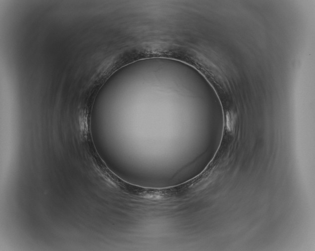 X0000111241155200907021405