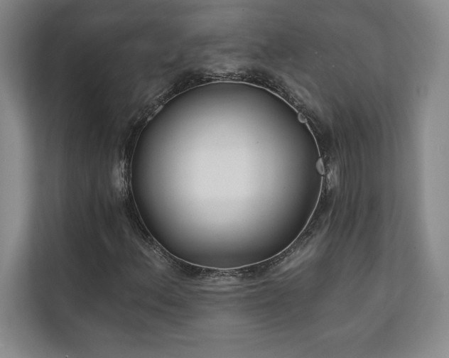 X0000111241156200907021405