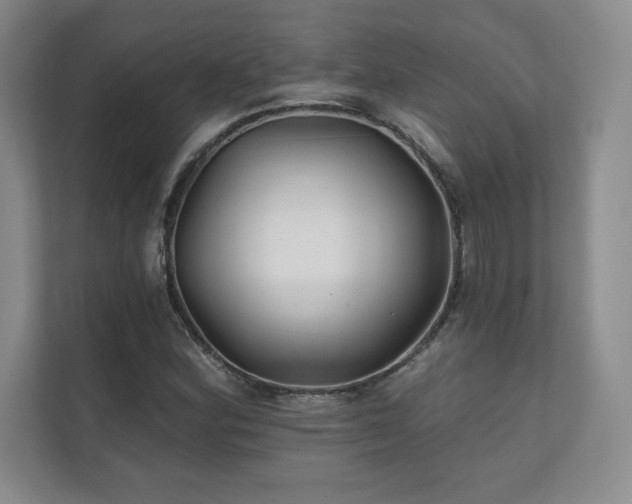 X0000111241164200907021405
