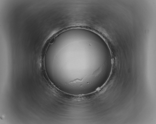 X0000111241165200907021405