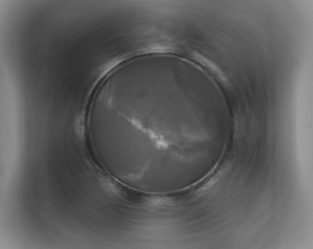 X0000111241170200907021405