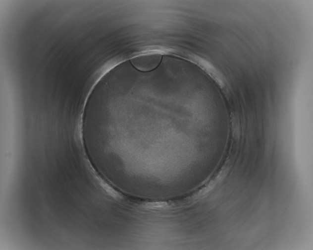 X0000111241186200907021405