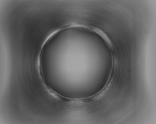 X0000111241198200907021405