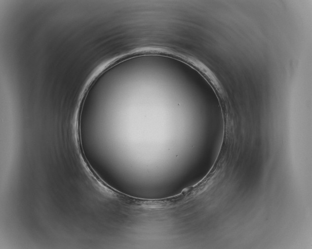 X0000111241199200907021405