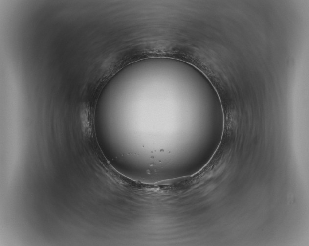 X0000111241202200907021404