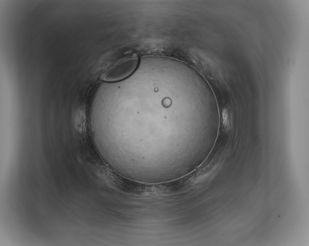 X0000111241203200907021404