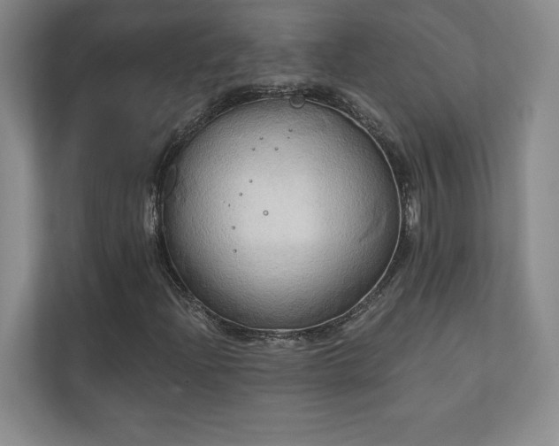 X0000111241204200907021404