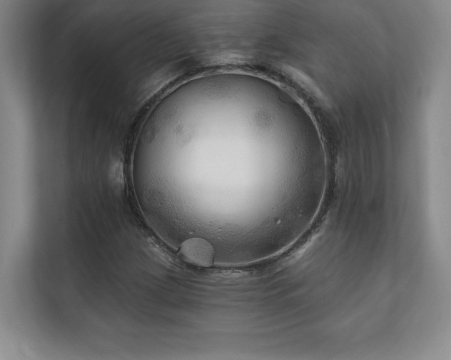 X0000111241209200907021404