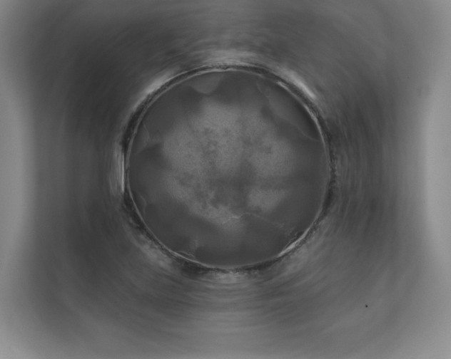 X0000111241219200907021404