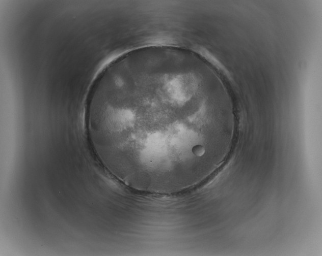 X0000111241222200907021404