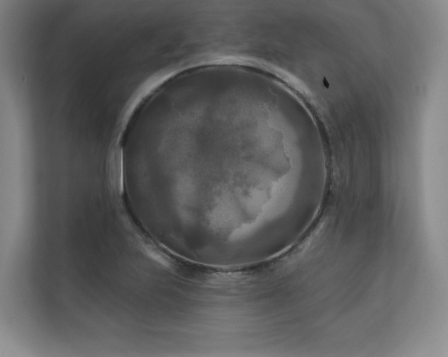X0000111241223200907021404