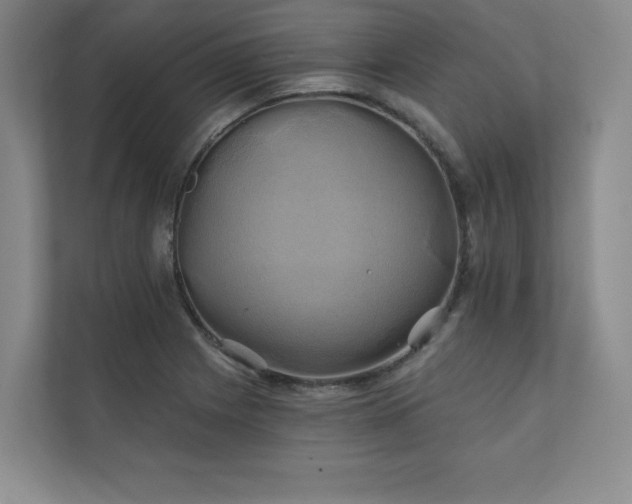 X0000111241225200907021404
