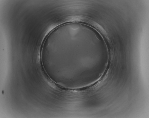 X0000111241226200907021404