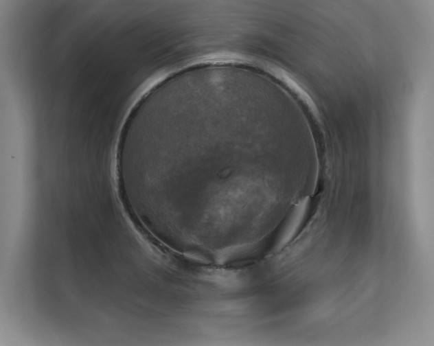 X0000111241229200907021404