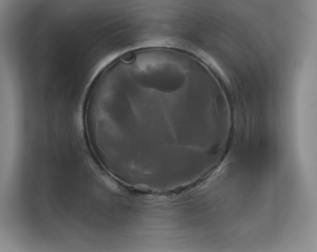 X0000111241230200907021404
