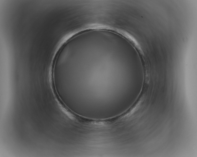 X0000111241231200907021404