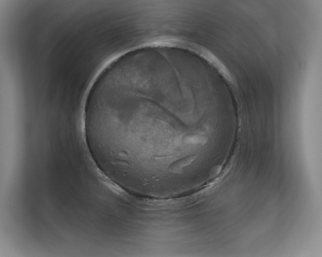 X0000111241232200907021404