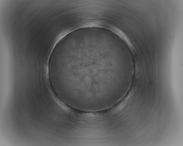 X0000111241234200907021404