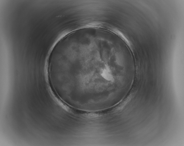 X0000111241235200907021404