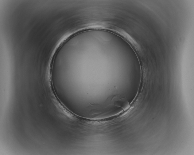 X0000111241240200907021404