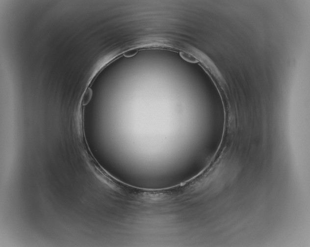 X0000111241242200907021404