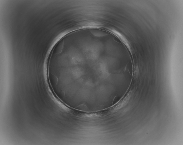 X0000111241243200907021405