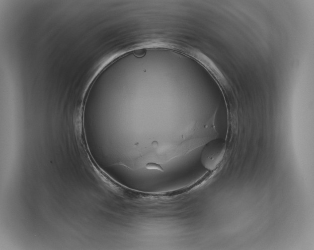 X0000111241244200907021405